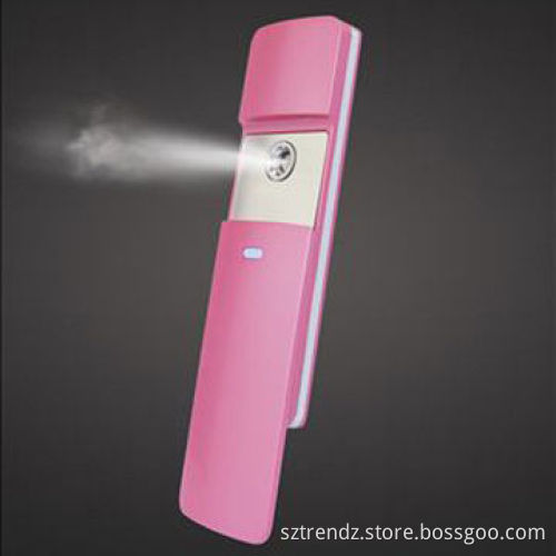USB Rechargeable Nano Handy Mist Sprayer, Facial Steamer